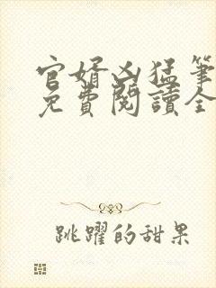 官婿凶猛笔趣阁免费阅读全文