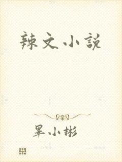 辣文小说