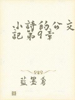 小诗的公交车日记第9章