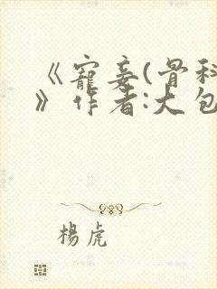 《宠妾(骨科)》作者:大包子