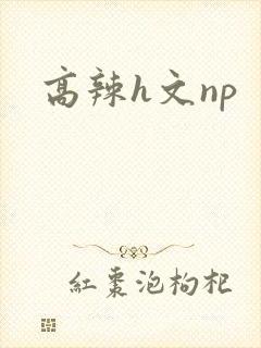 高辣h文np
