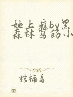 她上瘾by黑暗森林写的小说免费阅读无弹窗