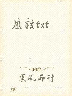 应该txt