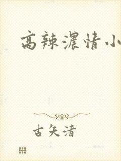 高辣浓情小说