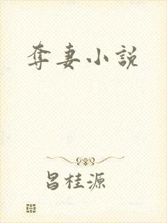 夺妻小说