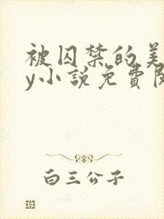 被囚禁的美人by小说免费阅读