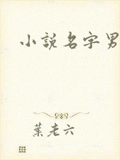 小说名字男生