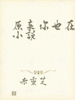 原来你也在这里小说