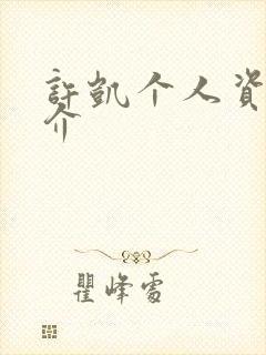 许凯个人资料简介