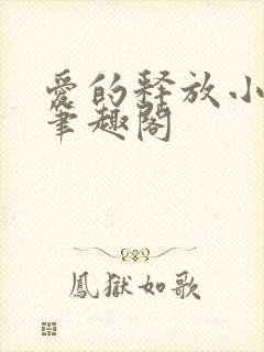 爱的释放小说 笔趣阁