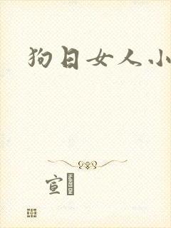 狗日女人小说