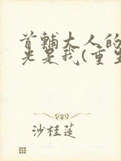 首辅大人的白月光是我(重生)