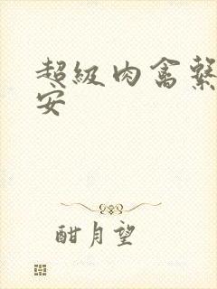 超级肉禽系统保安