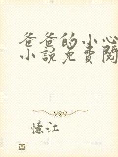 爸爸的小心肝儿小说免费阅读