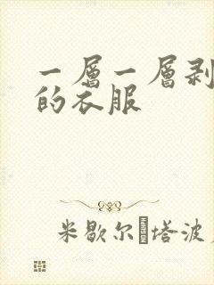 一层一层剥开你的衣服