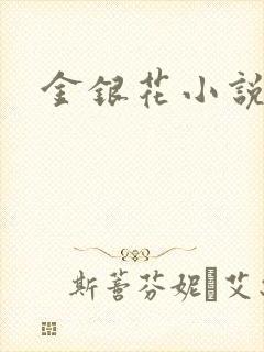 金银花小说乐可