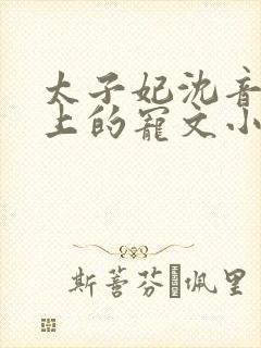 太子妃沈音和皇上的宠文小说