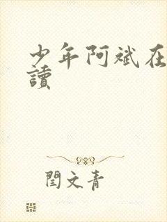 少年阿斌在线阅读