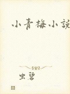 小青梅小说