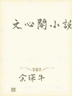 文心阁小说