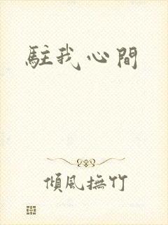 驻我心间