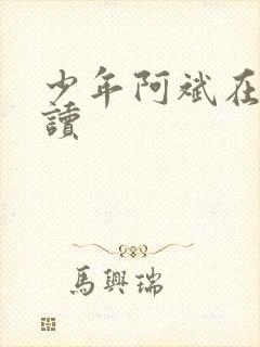 少年阿斌在线阅读