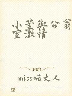 小莹与公翁办公室激情