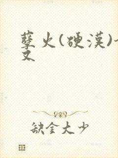 孽火(硬汉)今又