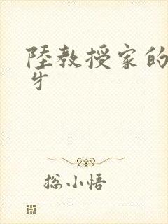 陆教授家的小月牙