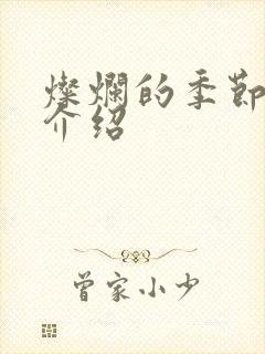 灿烂的季节剧情介绍