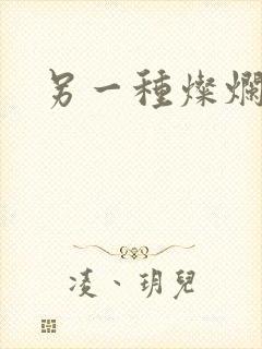 另一种灿烂生活