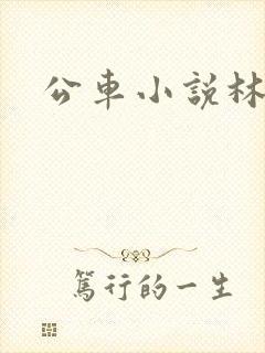公车小说林蔓蔓
