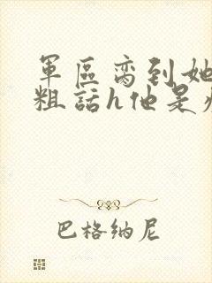 军区脔到她哭h粗话h他是疯批