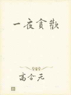 一夜贪欢