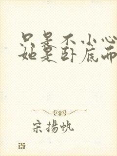 只是不小心发现她是卧底而已