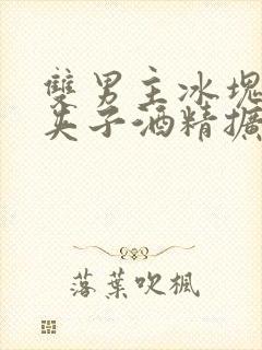 双男主冰块棉签夹子酒精扩张器封面