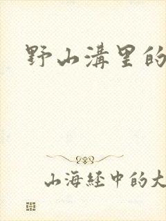 野山沟里的村庄