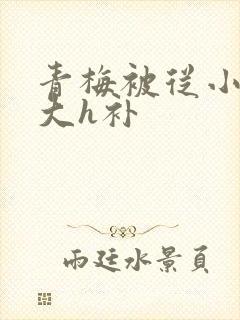 青梅被从小摸到大h补