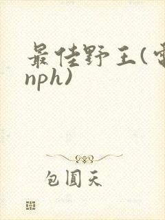 最佳野王(电竞nph)