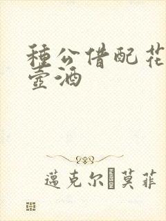 种公借配花间一壶酒