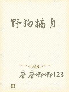 野狗摘月