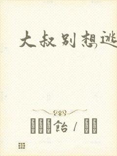大叔别想逃