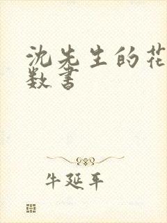 沈先生的花式调数书