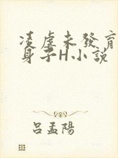 凌虐未发育的小身子H小说