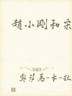 赵小刚和宋雨晴