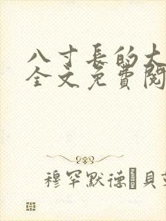 八寸长的大宝贝全文免费阅读