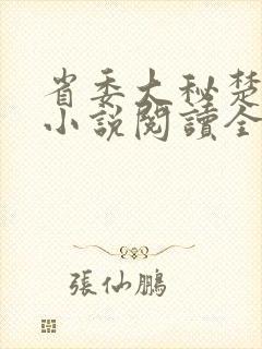 省委大秘楚东恒小说阅读全文