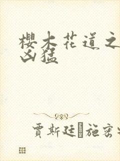 樱木花道之重生凶猛