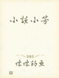 小说小芳