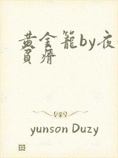 黄金笼by夜很贫瘠